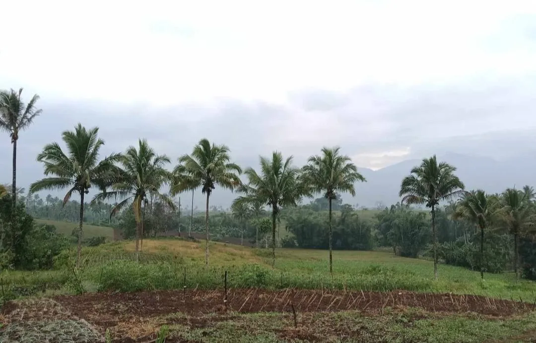 More Than Coconuts: How Panamar Ko Ranao's Community Fund is Making a Difference in Ganassi